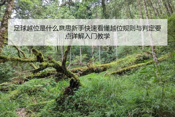 zu-qiu-yue-wei-shi-shen-me-yi-si-xin-shou-kuai-su-kan-dong-yue-wei-gui-ze-yu-pan-ding-yao-dian-xiang-jie-ru-men-jiao-xue-2-710.jpg